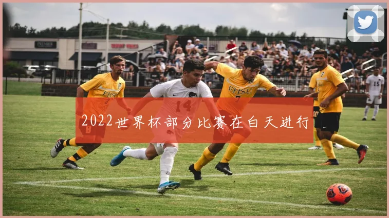 2022世界杯部分比赛在白天进行