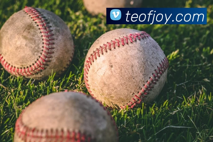 mksports最新官网服务体系